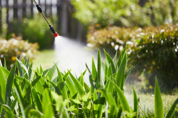 24/7 Emergency Cockroach Control experts in Briarcliff, TX