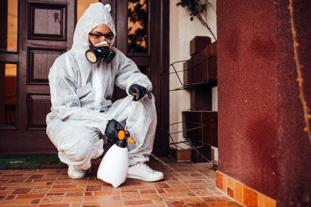 Reliable Cockroach Control contractor in Briarcliff, TX by Nex Pest Control